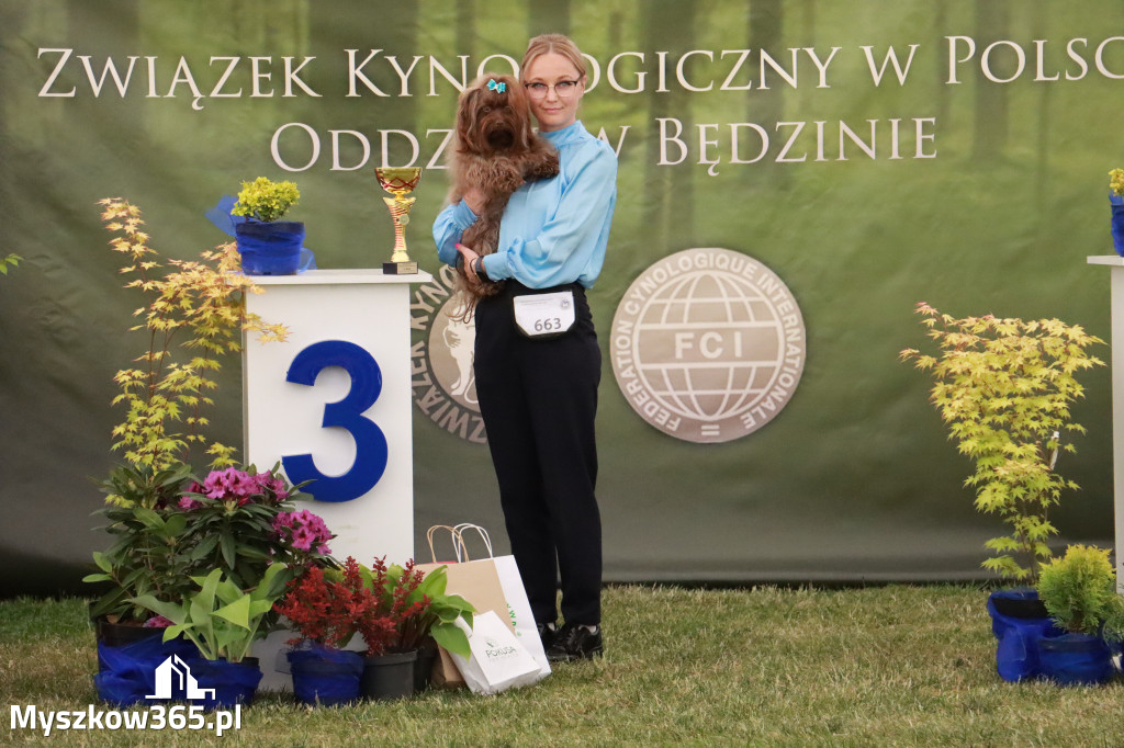 Fotorelacja - Wystawa Psów Rasowych GNIAZDÓW 2024r. NIEDZIELA II