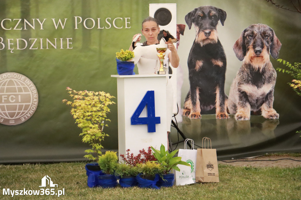Fotorelacja - Wystawa Psów Rasowych GNIAZDÓW 2024r. NIEDZIELA II