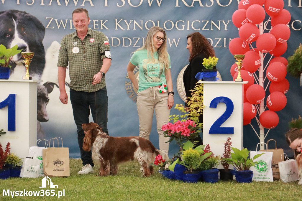 Fotorelacja - Wystawa Psów Rasowych GNIAZDÓW 2024r. NIEDZIELA II