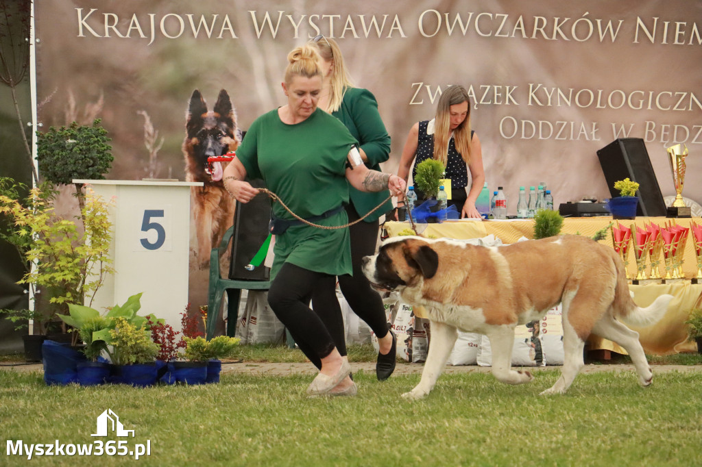 Fotorelacja - Wystawa Psów Rasowych GNIAZDÓW 2024r. NIEDZIELA II