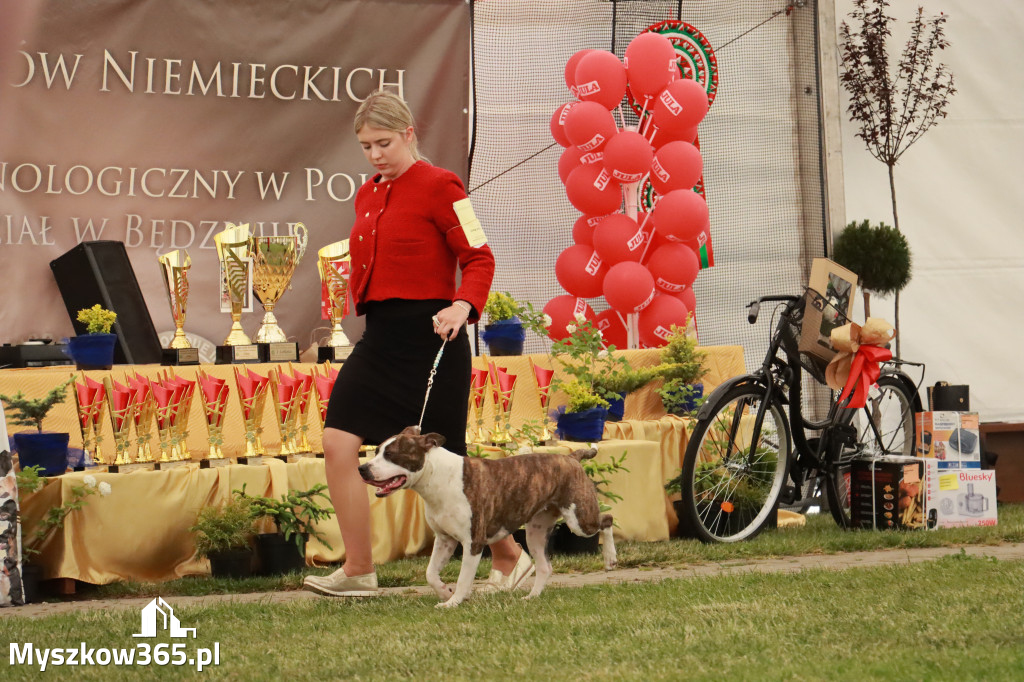 Fotorelacja - Wystawa Psów Rasowych GNIAZDÓW 2024r. NIEDZIELA II