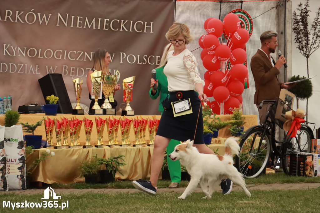 Fotorelacja - Wystawa Psów Rasowych GNIAZDÓW 2024r. NIEDZIELA II
