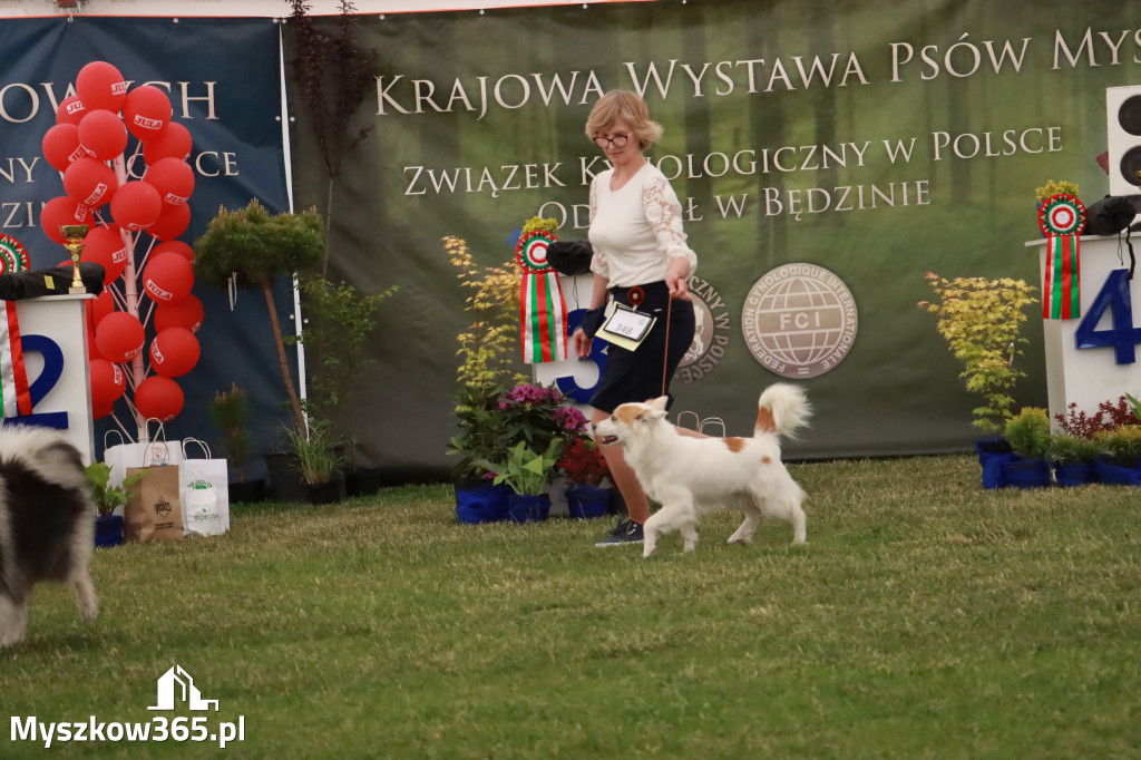 Fotorelacja - Wystawa Psów Rasowych GNIAZDÓW 2024r. NIEDZIELA II