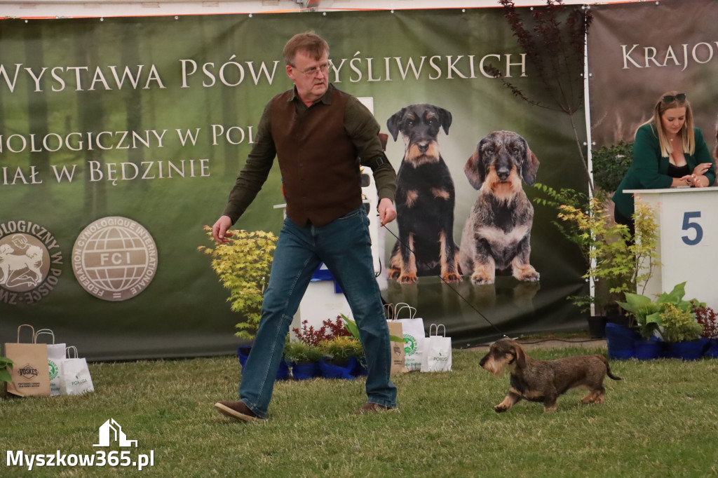 Fotorelacja - Wystawa Psów Rasowych GNIAZDÓW 2024r. NIEDZIELA II