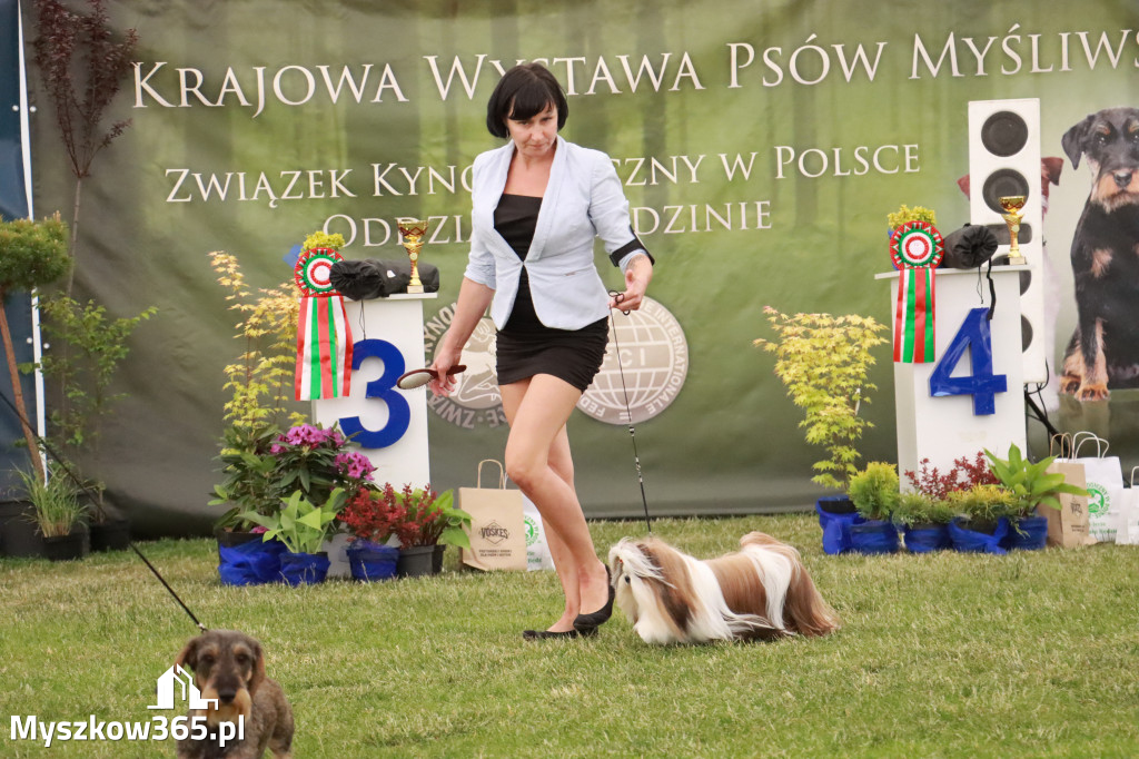 Fotorelacja - Wystawa Psów Rasowych GNIAZDÓW 2024r. NIEDZIELA II