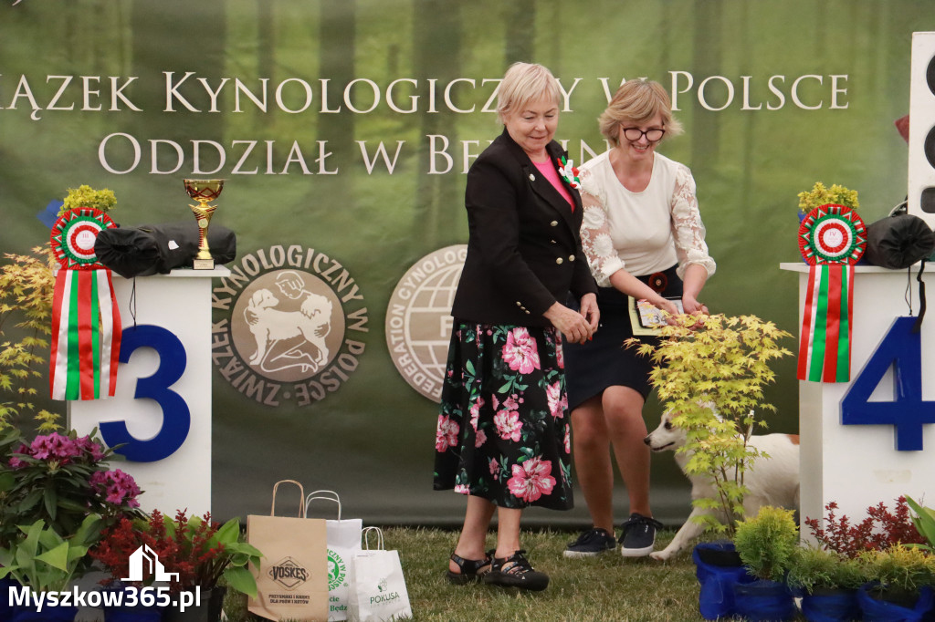 Fotorelacja - Wystawa Psów Rasowych GNIAZDÓW 2024r. NIEDZIELA II