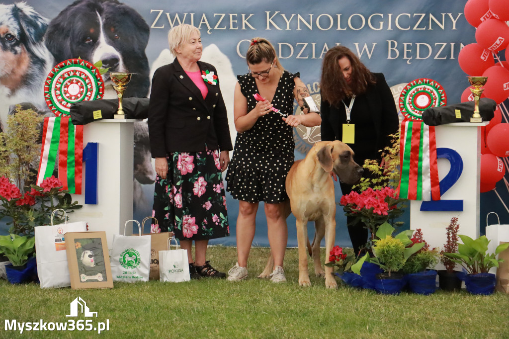 Fotorelacja - Wystawa Psów Rasowych GNIAZDÓW 2024r. NIEDZIELA II