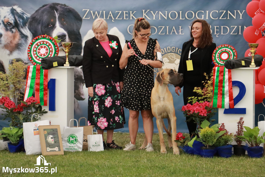 Fotorelacja - Wystawa Psów Rasowych GNIAZDÓW 2024r. NIEDZIELA II