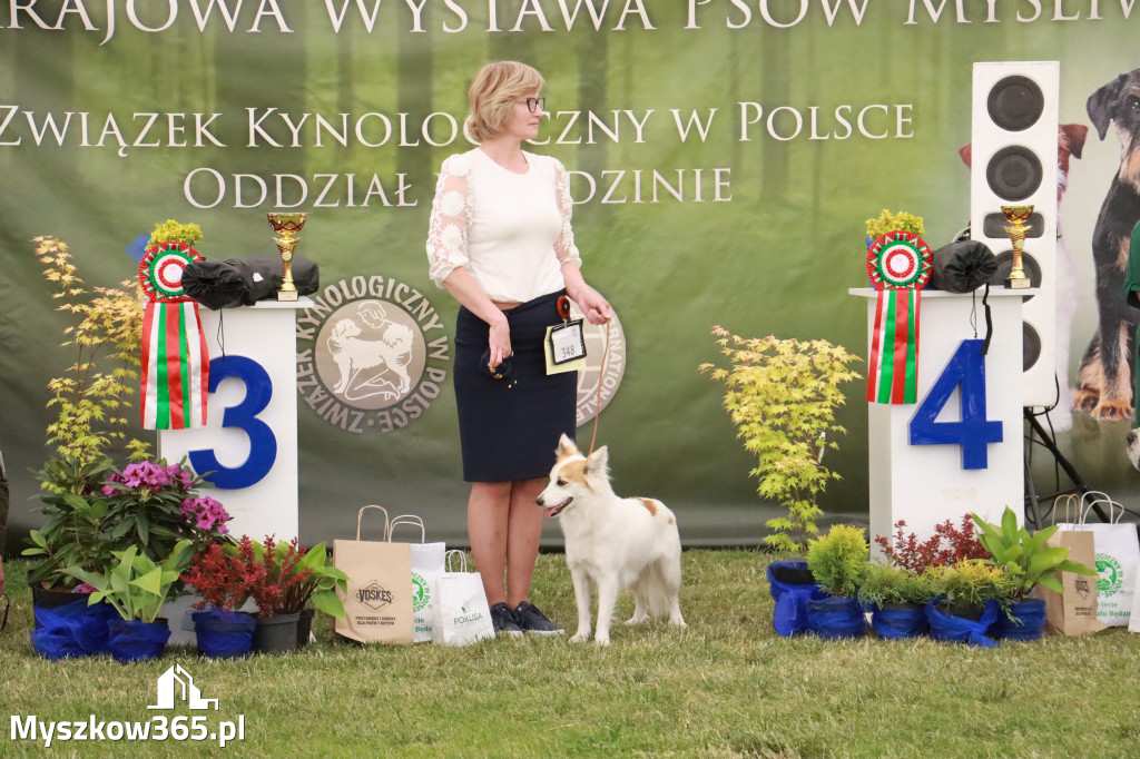 Fotorelacja - Wystawa Psów Rasowych GNIAZDÓW 2024r. NIEDZIELA II
