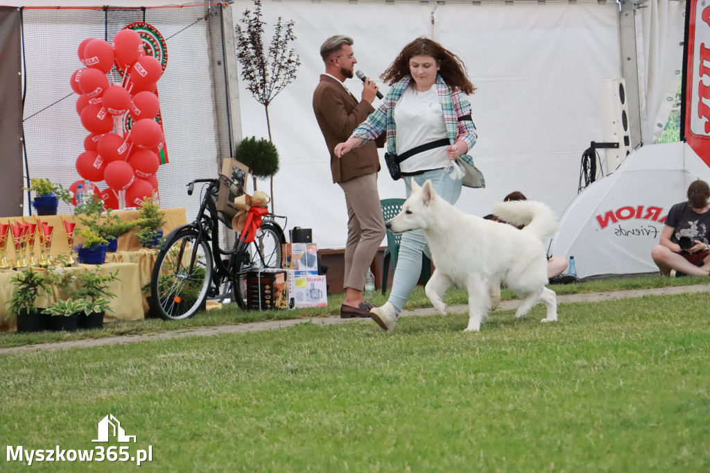 Fotorelacja - Wystawa Psów Rasowych GNIAZDÓW 2024r. NIEDZIELA II