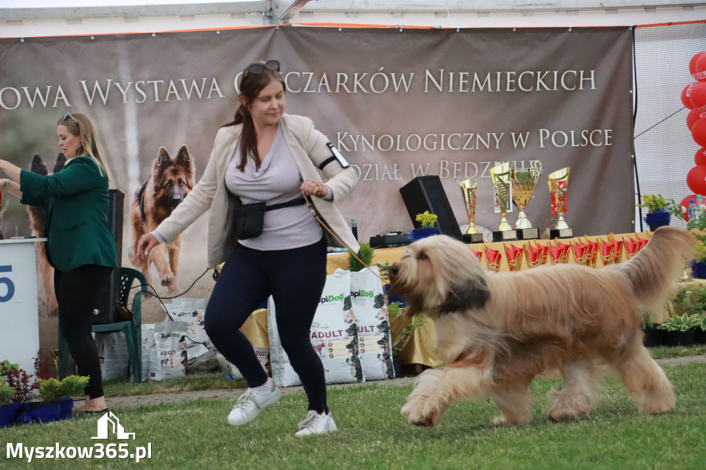 Fotorelacja - Wystawa Psów Rasowych GNIAZDÓW 2024r. NIEDZIELA II
