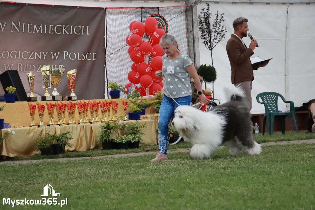 Fotorelacja - Wystawa Psów Rasowych GNIAZDÓW 2024r. NIEDZIELA II