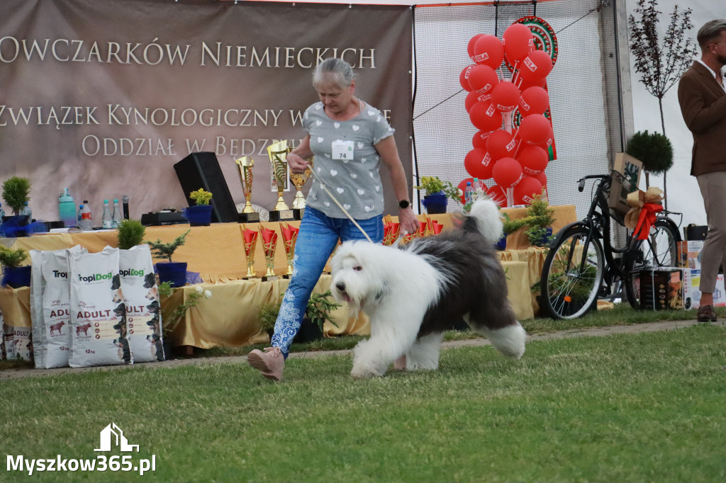 Fotorelacja - Wystawa Psów Rasowych GNIAZDÓW 2024r. NIEDZIELA II
