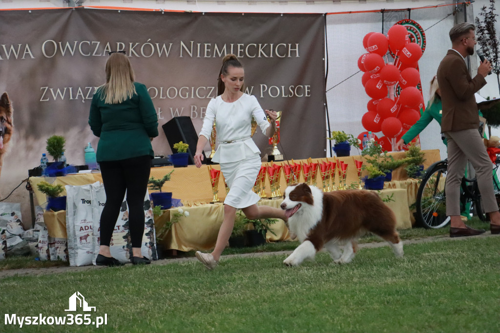 Fotorelacja - Wystawa Psów Rasowych GNIAZDÓW 2024r. NIEDZIELA II