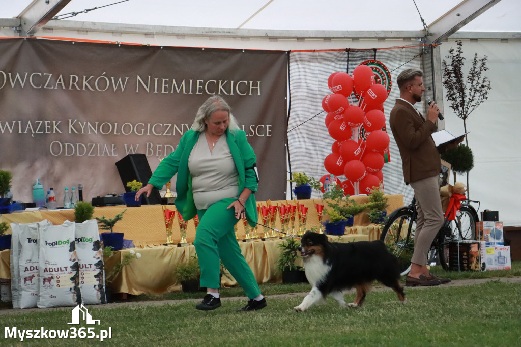 Fotorelacja - Wystawa Psów Rasowych GNIAZDÓW 2024r. NIEDZIELA III