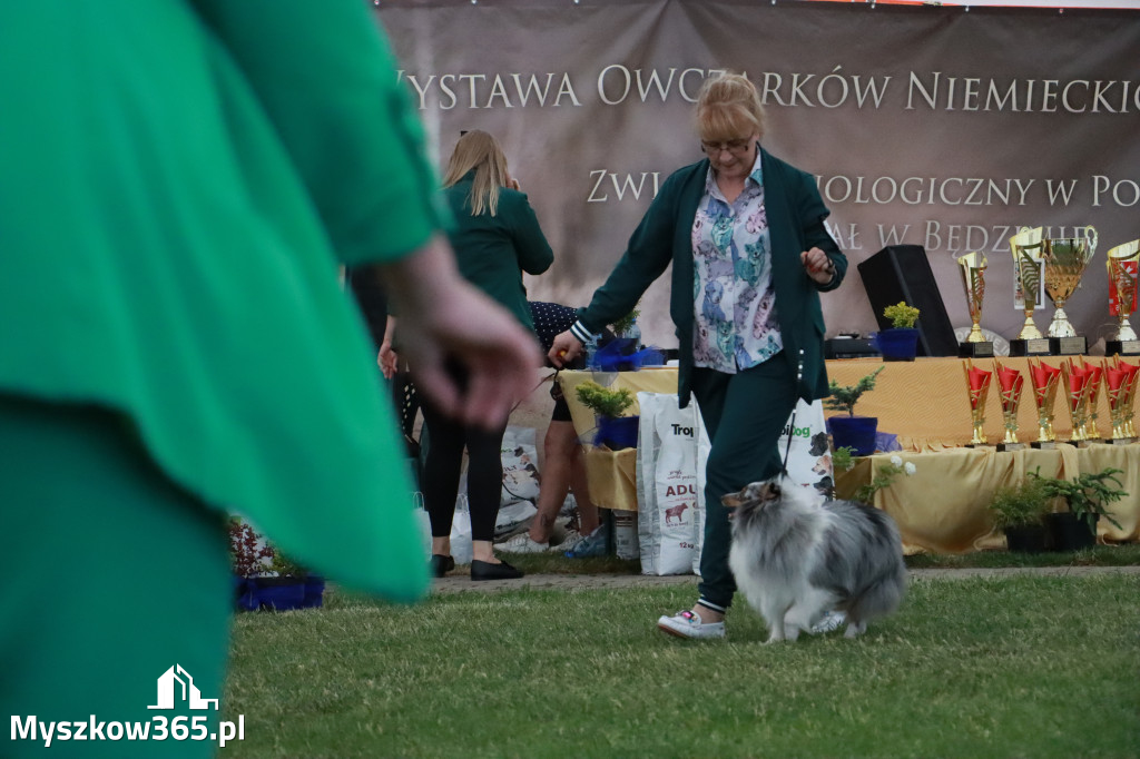 Fotorelacja - Wystawa Psów Rasowych GNIAZDÓW 2024r. NIEDZIELA III