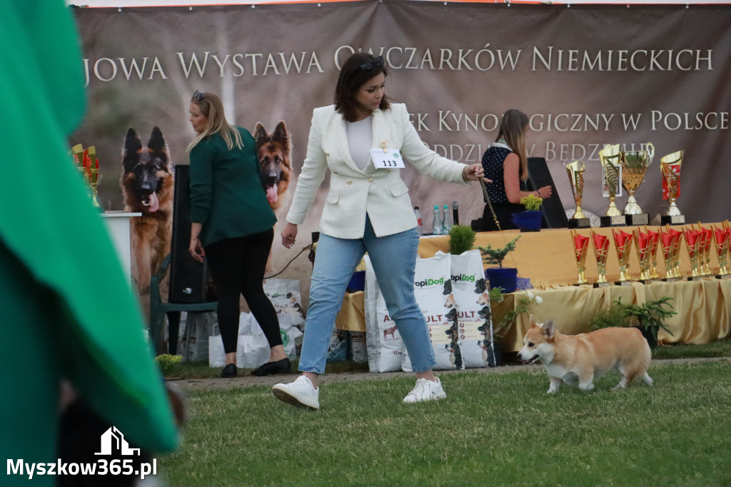 Fotorelacja - Wystawa Psów Rasowych GNIAZDÓW 2024r. NIEDZIELA III