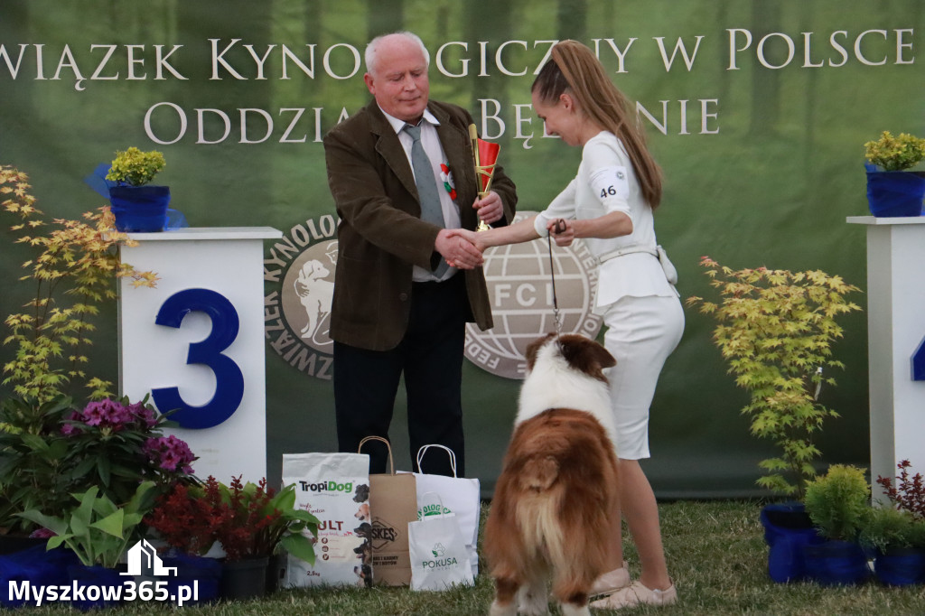 Fotorelacja - Wystawa Psów Rasowych GNIAZDÓW 2024r. NIEDZIELA III