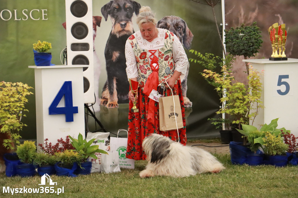 Fotorelacja - Wystawa Psów Rasowych GNIAZDÓW 2024r. NIEDZIELA III