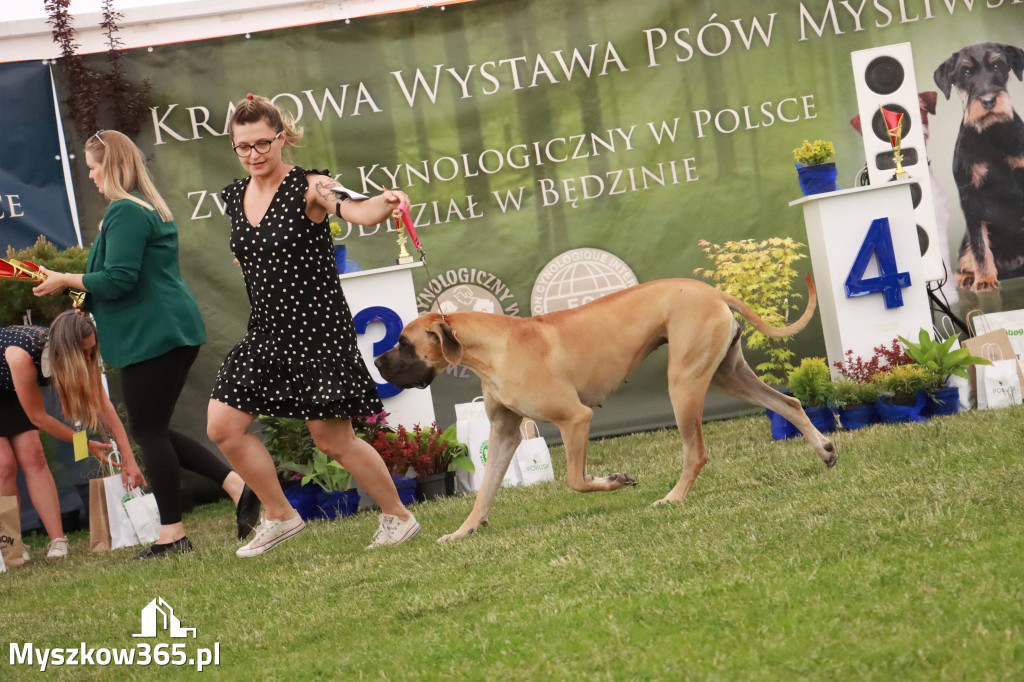 Fotorelacja - Wystawa Psów Rasowych GNIAZDÓW 2024r. NIEDZIELA III