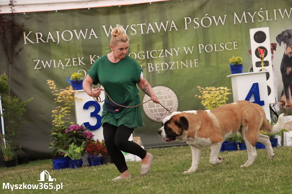 Fotorelacja - Wystawa Psów Rasowych GNIAZDÓW 2024r. NIEDZIELA III