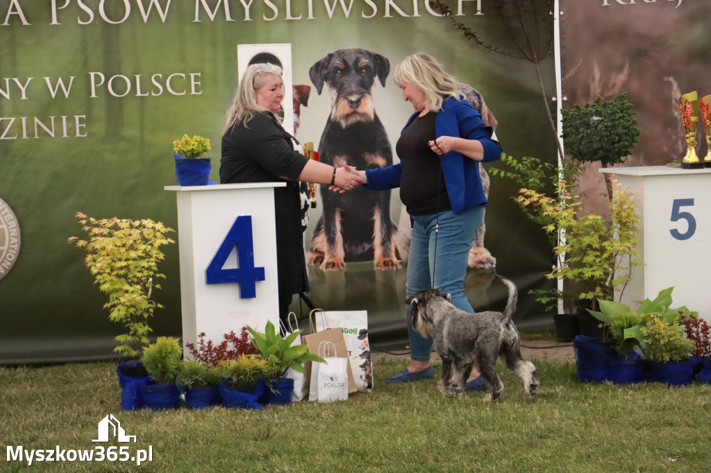 Fotorelacja - Wystawa Psów Rasowych GNIAZDÓW 2024r. NIEDZIELA III