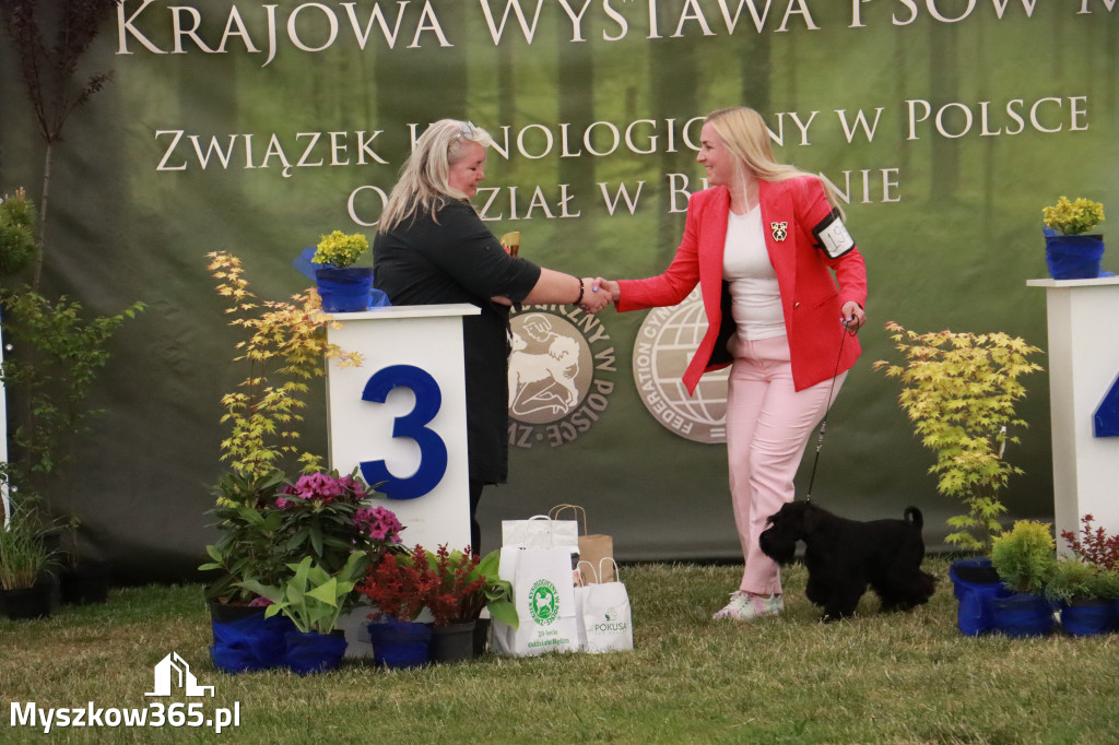 Fotorelacja - Wystawa Psów Rasowych GNIAZDÓW 2024r. NIEDZIELA III