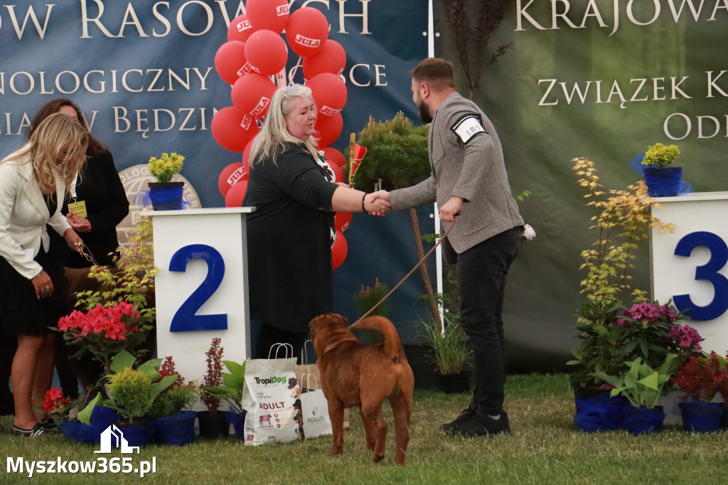 Fotorelacja - Wystawa Psów Rasowych GNIAZDÓW 2024r. NIEDZIELA III