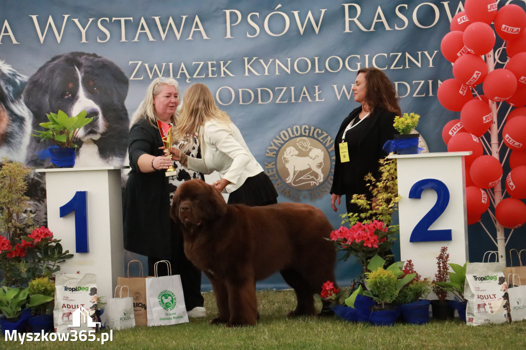 Fotorelacja - Wystawa Psów Rasowych GNIAZDÓW 2024r. NIEDZIELA III