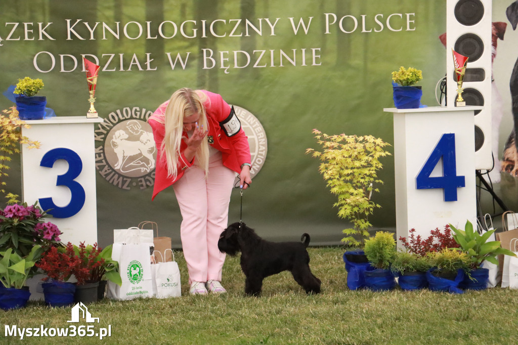 Fotorelacja - Wystawa Psów Rasowych GNIAZDÓW 2024r. NIEDZIELA III