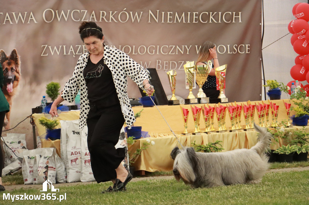 Fotorelacja - Wystawa Psów Rasowych GNIAZDÓW 2024r. NIEDZIELA III