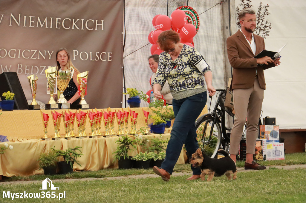 Fotorelacja - Wystawa Psów Rasowych GNIAZDÓW 2024r. NIEDZIELA III