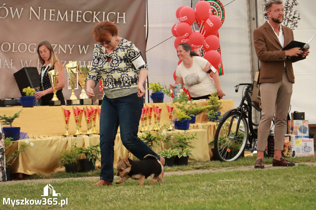 Fotorelacja - Wystawa Psów Rasowych GNIAZDÓW 2024r. NIEDZIELA III