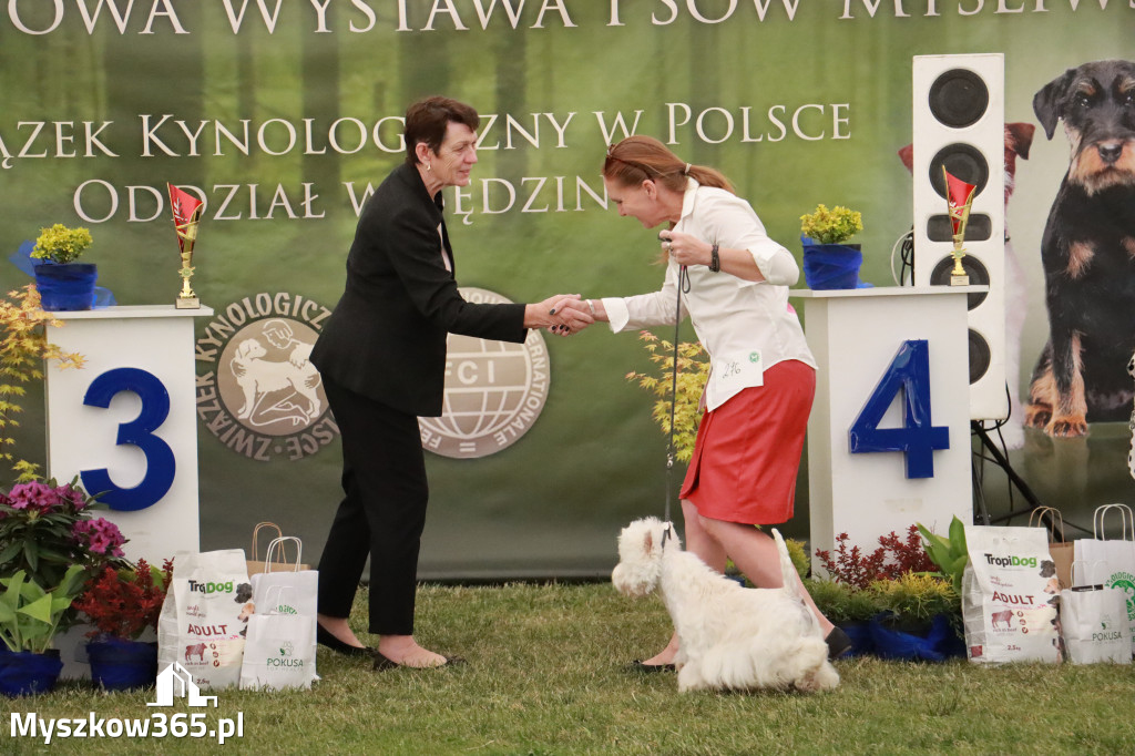 Fotorelacja - Wystawa Psów Rasowych GNIAZDÓW 2024r. NIEDZIELA III