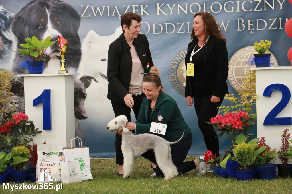 Fotorelacja - Wystawa Psów Rasowych GNIAZDÓW 2024r. NIEDZIELA III