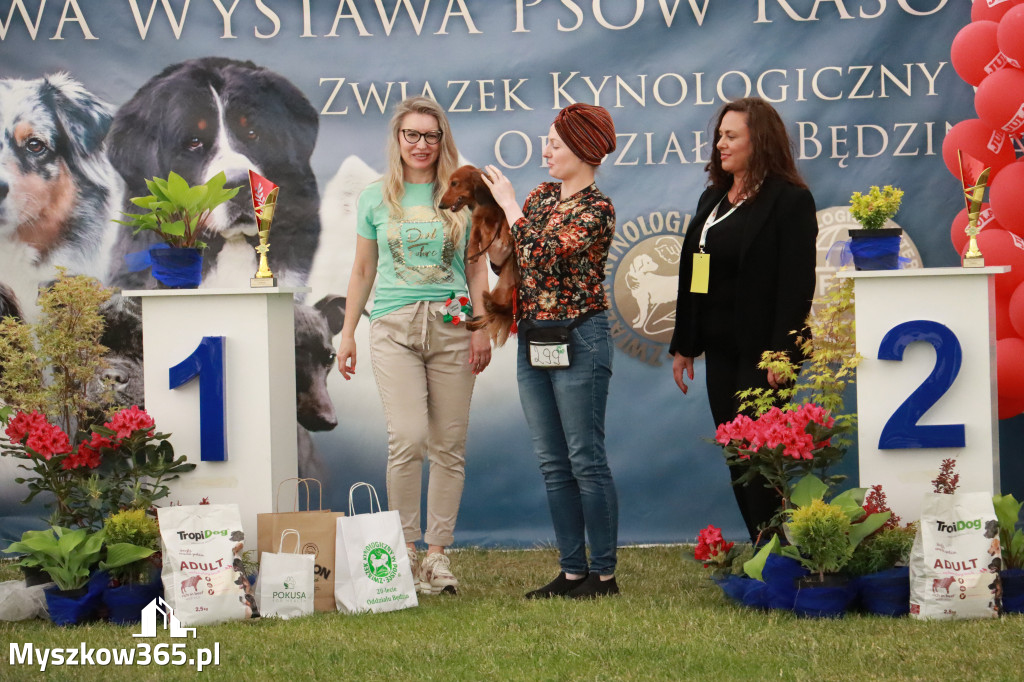 Fotorelacja - Wystawa Psów Rasowych GNIAZDÓW 2024r. NIEDZIELA III