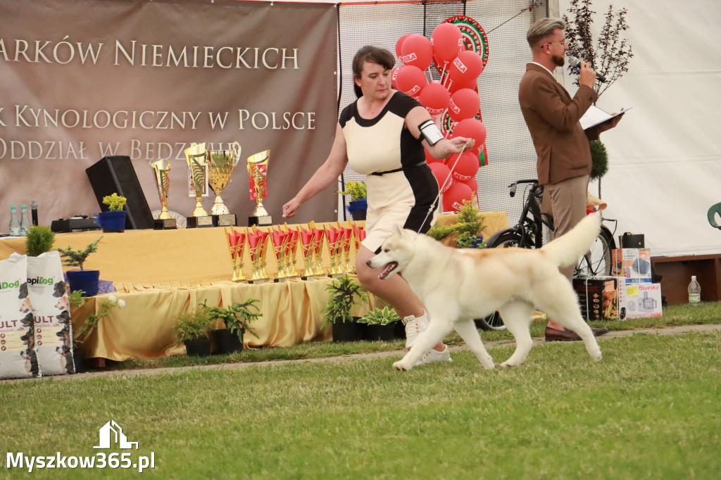 Fotorelacja - Wystawa Psów Rasowych GNIAZDÓW 2024r. NIEDZIELA III