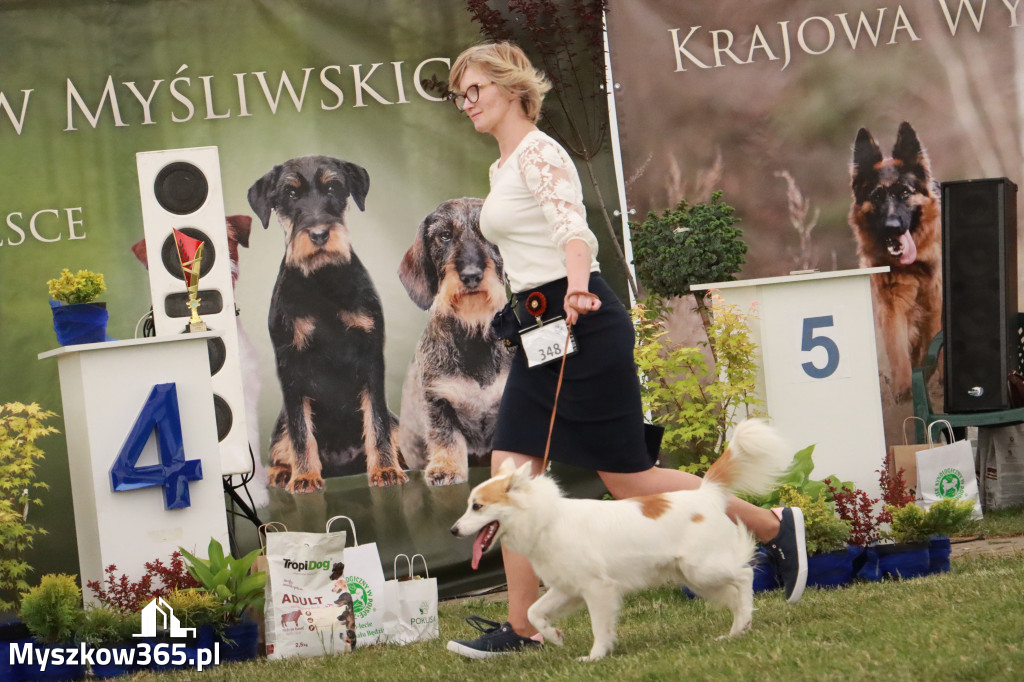 Fotorelacja - Wystawa Psów Rasowych GNIAZDÓW 2024r. NIEDZIELA III