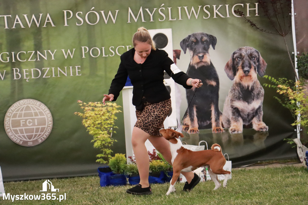 Fotorelacja - Wystawa Psów Rasowych GNIAZDÓW 2024r. NIEDZIELA III