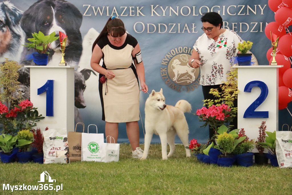 Fotorelacja - Wystawa Psów Rasowych GNIAZDÓW 2024r. NIEDZIELA III