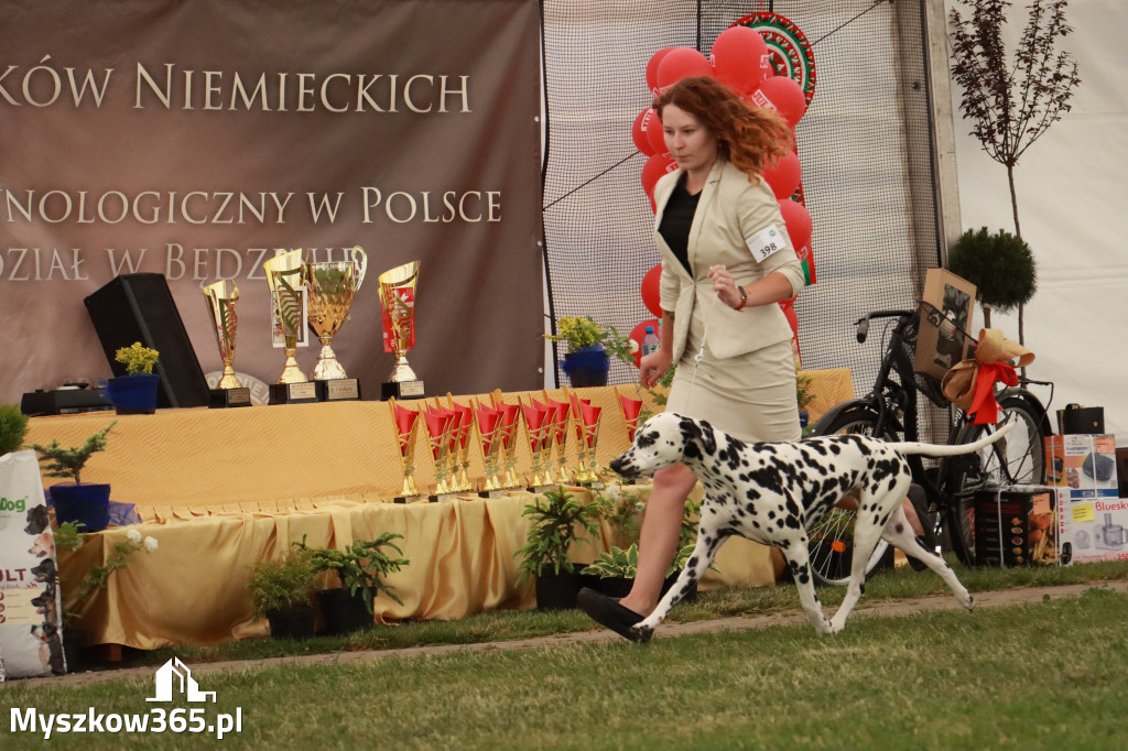 Fotorelacja - Wystawa Psów Rasowych GNIAZDÓW 2024r. NIEDZIELA III