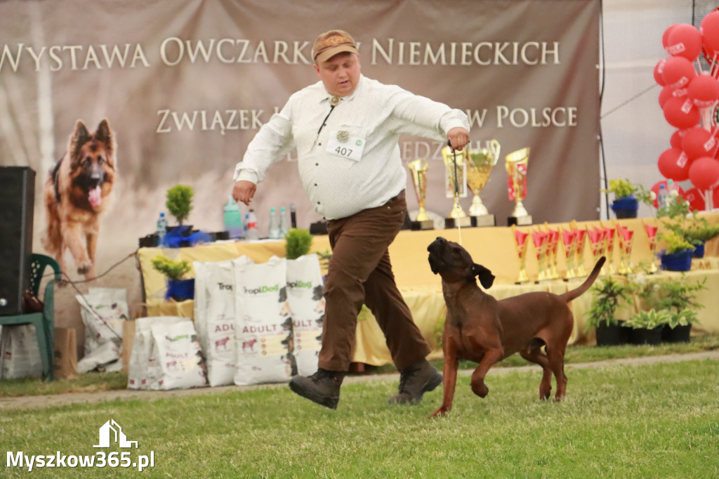 Fotorelacja - Wystawa Psów Rasowych GNIAZDÓW 2024r. NIEDZIELA III