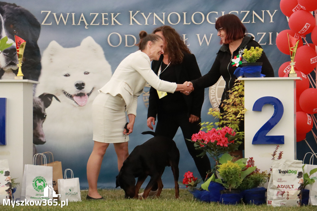 Fotorelacja - Wystawa Psów Rasowych GNIAZDÓW 2024r. NIEDZIELA III