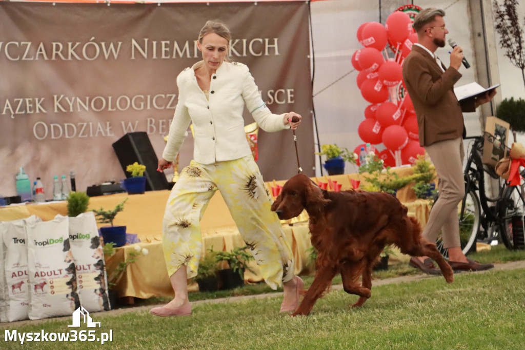 Fotorelacja - Wystawa Psów Rasowych GNIAZDÓW 2024r. NIEDZIELA III