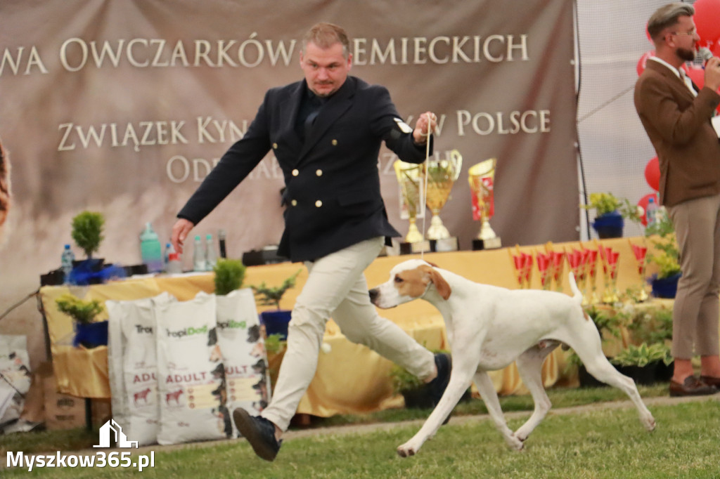 Fotorelacja - Wystawa Psów Rasowych GNIAZDÓW 2024r. NIEDZIELA III