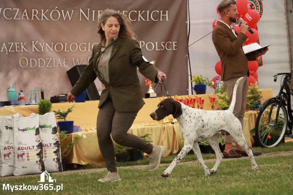 Fotorelacja - Wystawa Psów Rasowych GNIAZDÓW 2024r. NIEDZIELA III