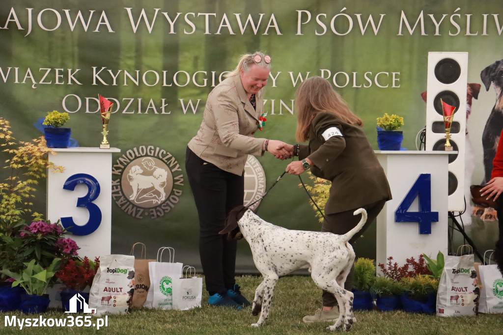 Fotorelacja - Wystawa Psów Rasowych GNIAZDÓW 2024r. NIEDZIELA III