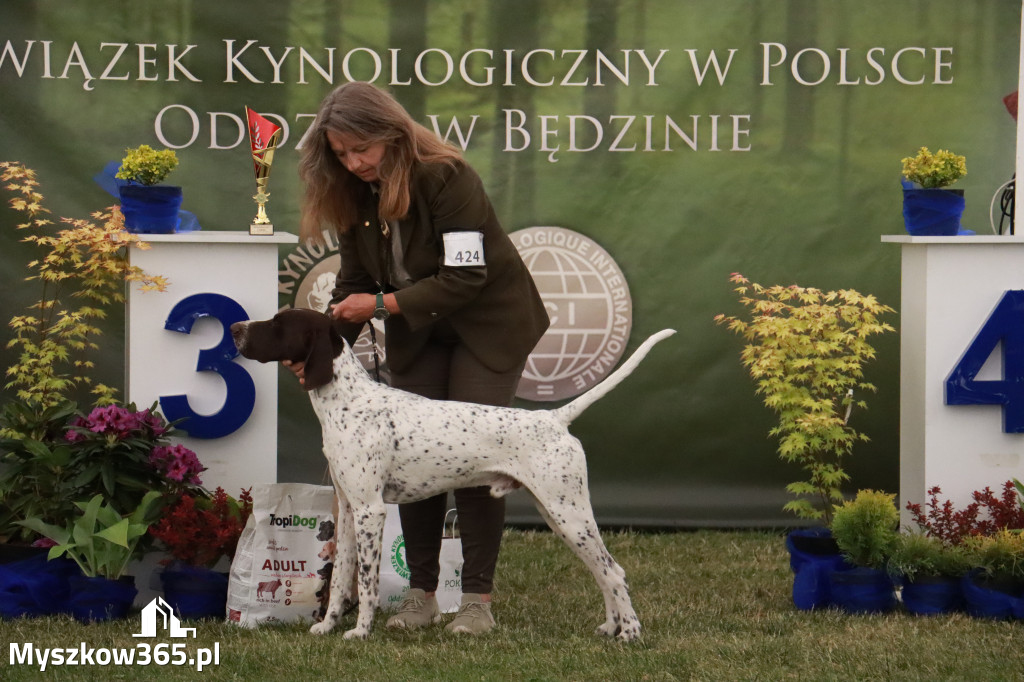 Fotorelacja - Wystawa Psów Rasowych GNIAZDÓW 2024r. NIEDZIELA III