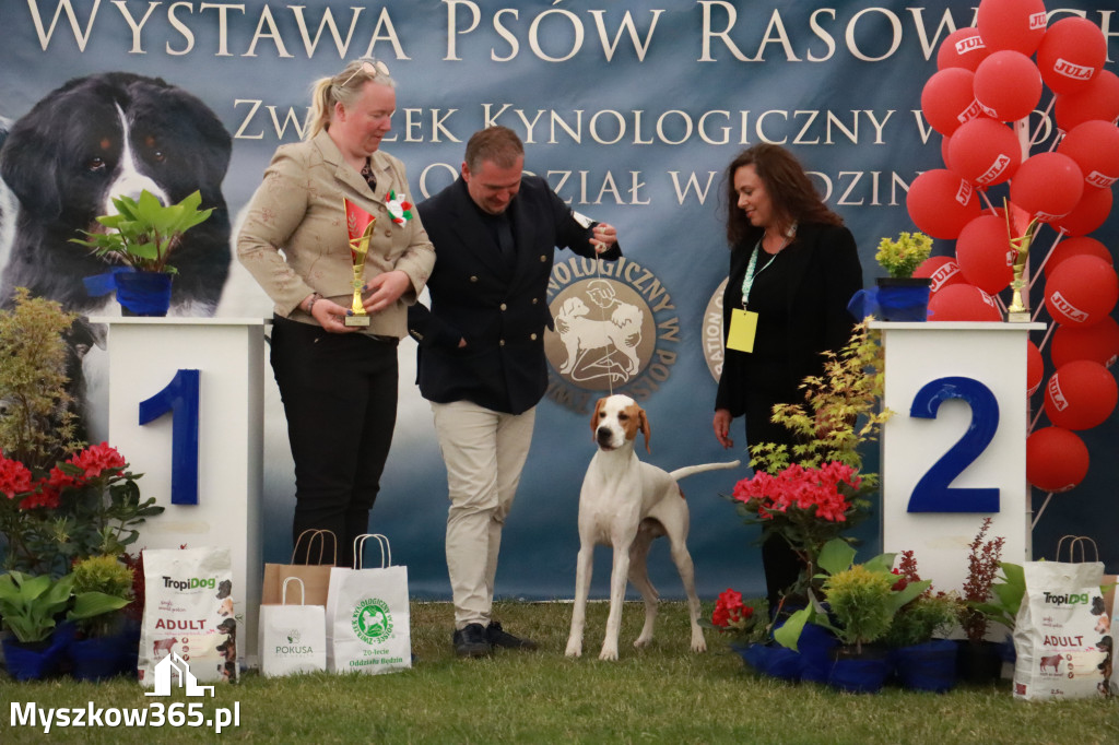 Fotorelacja - Wystawa Psów Rasowych GNIAZDÓW 2024r. NIEDZIELA III