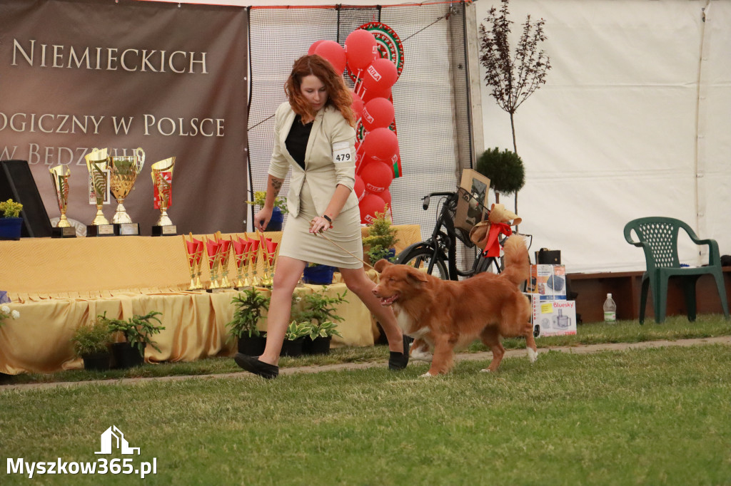 Fotorelacja - Wystawa Psów Rasowych GNIAZDÓW 2024r. NIEDZIELA III